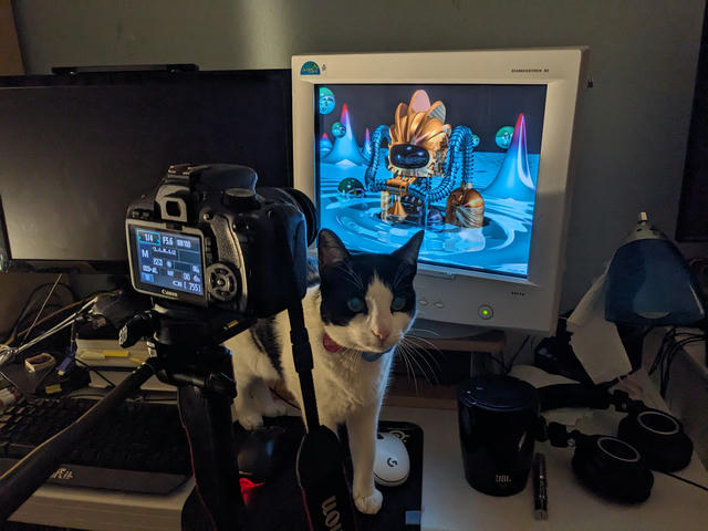 A black and white cat standing between a CRT showing a 90s 3D CGI robot and a DSLR camera