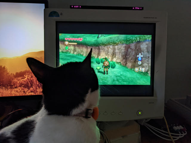 My cat Moomoo looking at Skyward Sword on my VGA CRT