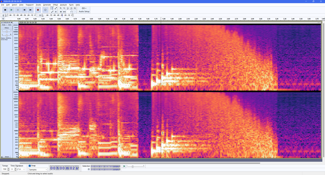 Screenshot of Audacity in spectrogram mode, showing a series of tones followed by a noise sweep falling in frequency.